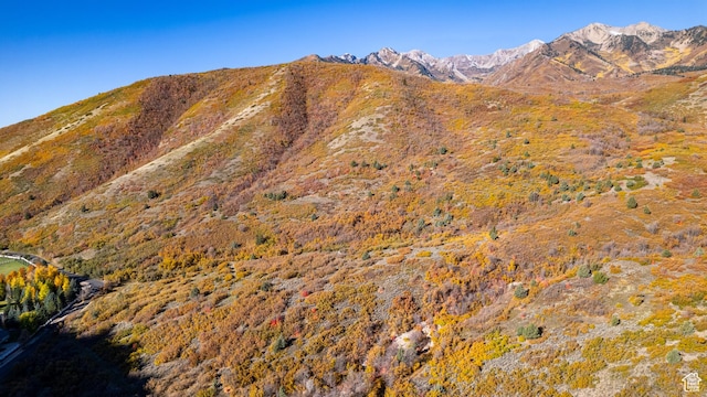 131 S Meadow Dr Unit 20, Springville, UT 84663 - mountain view