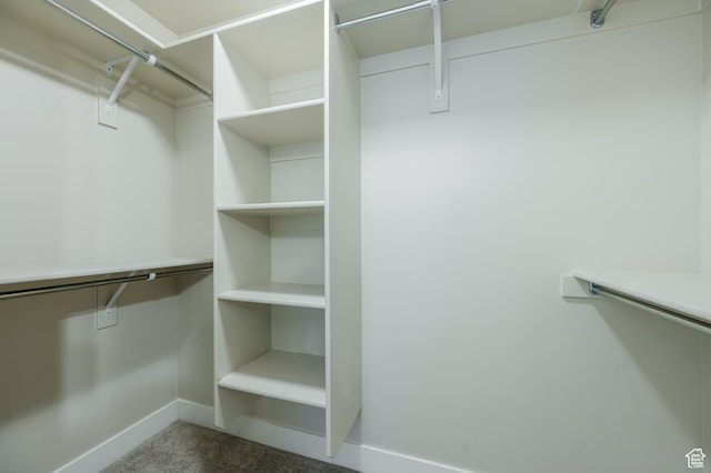 607 N Glenwilde Rd Unit 116, Vineyard, UT 84059 - spacious closet with carpet flooring