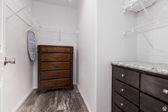 walk in closet with dark wood finished floors