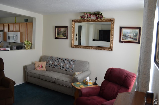 5451 N Heather Way W, Stansbury Park, UT 84074 - carpeted living area with a textured ceiling