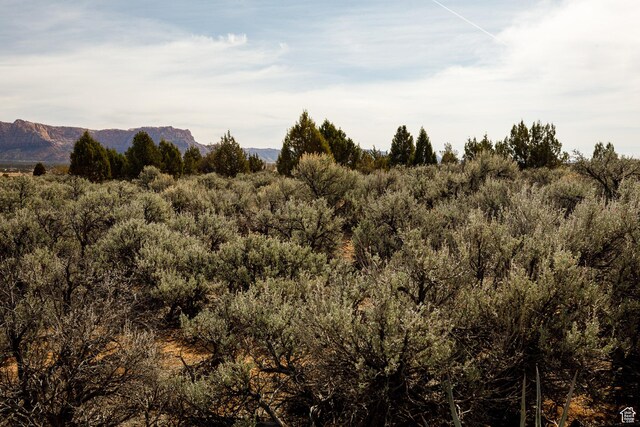 1 1600 Av-137, Apple Valley, UT 84737