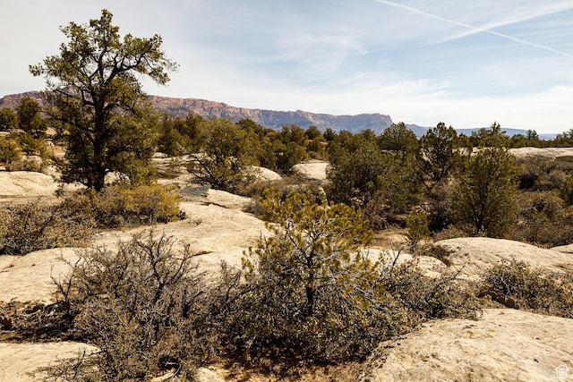 1 1600 Av-137, Apple Valley, UT 84737