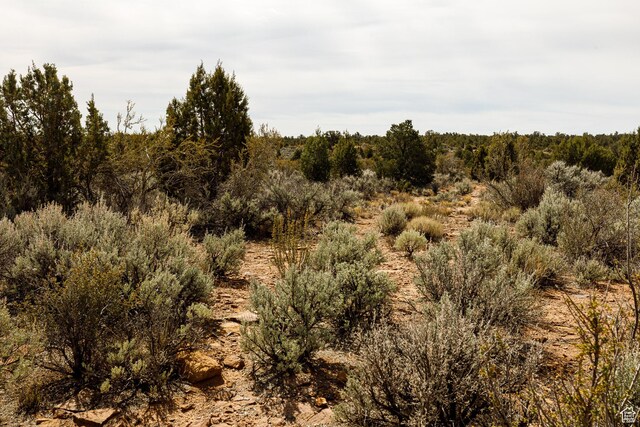 1 1600 Av-137, Apple Valley, UT 84737