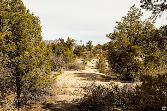 1 1600 Av-137, Apple Valley, UT 84737