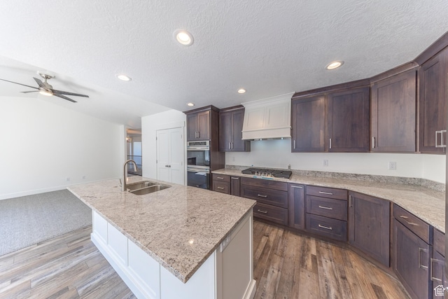 64 N Bywater Way, Brigham City, UT 84302 - kitchen with a sink, stainless steel appliances, a kitchen island with sink, custom range hood, and dark wood-style flooring