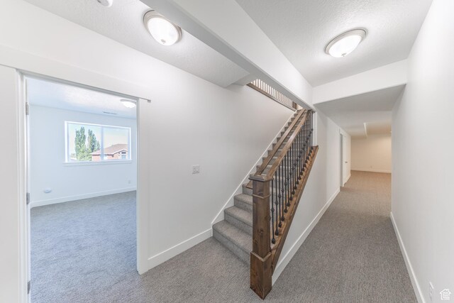 64 N Bywater Way, Brigham City, UT 84302 - staircase featuring carpet, baseboards, and a textured ceiling