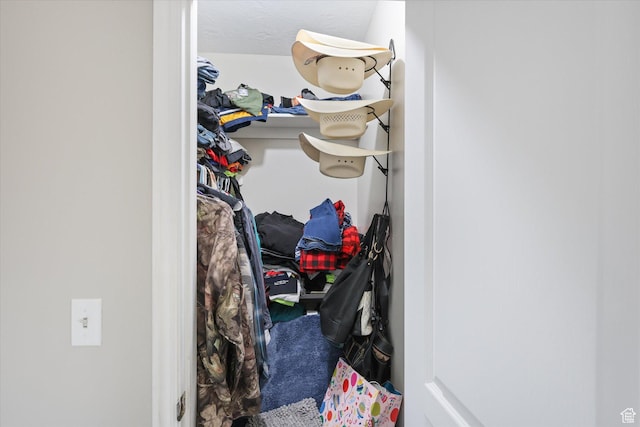 3018 S Asplund Cir, Salt Lake City, UT 84119 - view of walk in closet