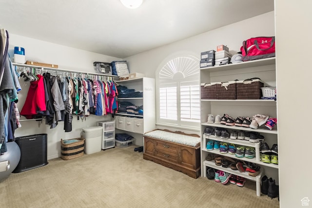 414 S 3130 W, Vernal, UT 84078 - spacious closet featuring carpet