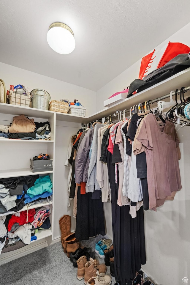 walk in closet with carpet floors