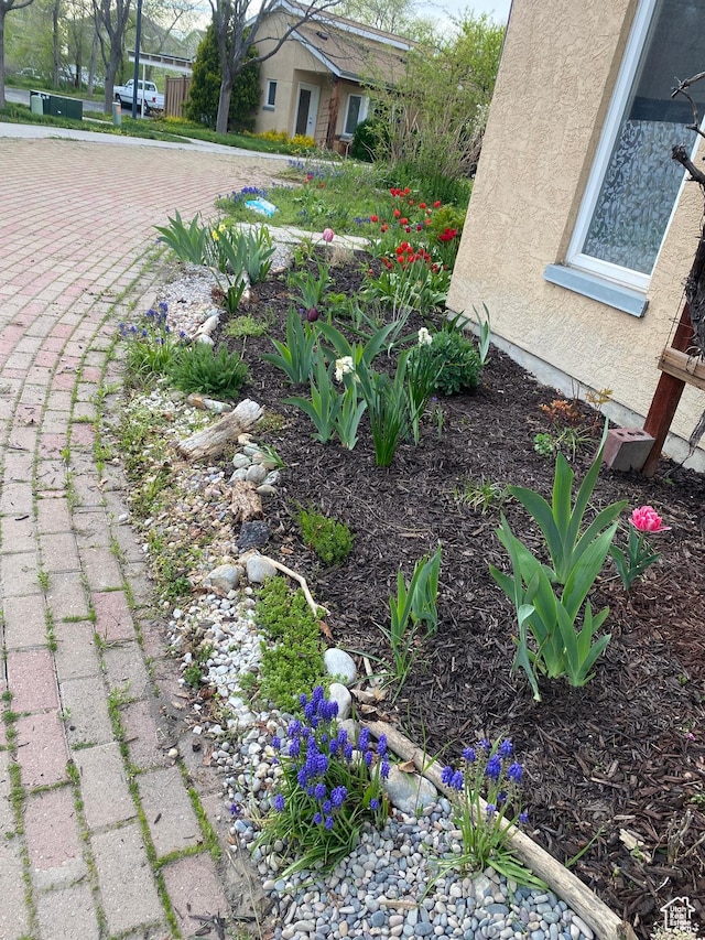 view of yard featuring driveway