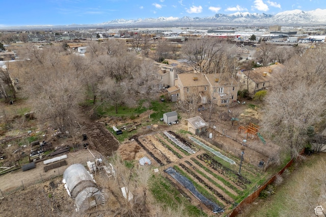 birds eye view of property with a mountain view