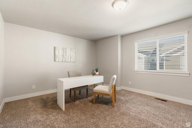 259 W 40 N, Hyrum, UT 84319 - home office with carpet flooring and baseboards