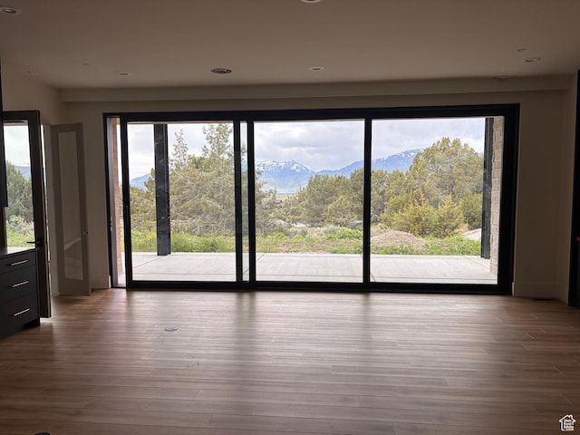 2220 E Flat Top Mountain Dr, Heber City, UT 84032 - unfurnished room featuring plenty of natural light, wood finished floors, a mountain view, and recessed lighting