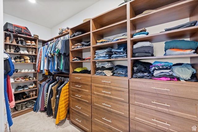 6208 W Bull River Rd, Highland, UT 84003 - walk in closet with light colored carpet