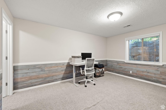 6208 W Bull River Rd, Highland, UT 84003 - carpeted office featuring a textured ceiling, wooden walls, and a wainscoted wall