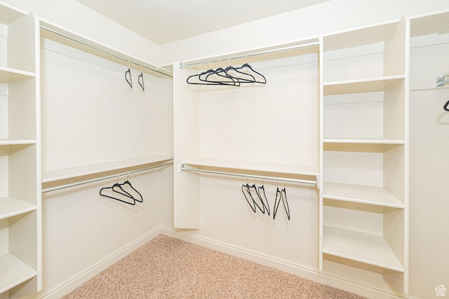 1886 S 830 W Unit D, Syracuse, UT 84075 - spacious closet featuring carpet flooring