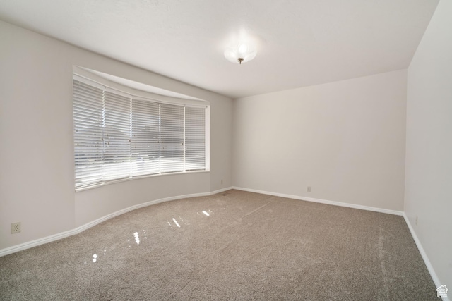unfurnished room featuring baseboards and carpet floors
