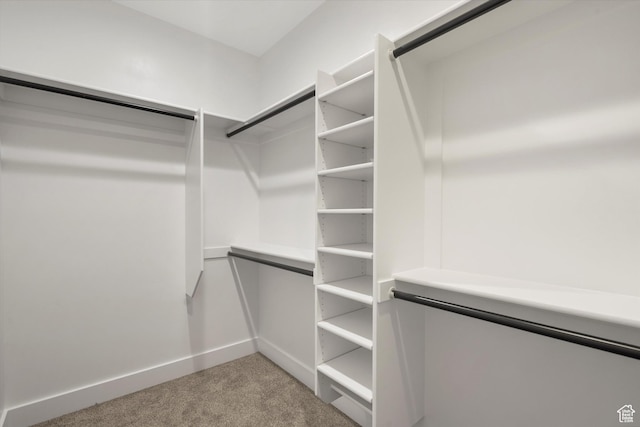 2833 N 3475 W, Plain City, UT 84404 - spacious closet with carpet flooring