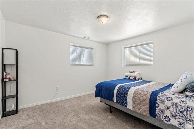 379 S Utah Dr, Grantsville, UT 84029 - bedroom featuring baseboards, carpet flooring, a textured ceiling, and multiple windows