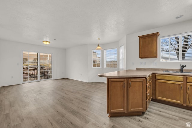 kitchen featuring a sink, a peninsula, a textured ceiling, brown cabinetry, and light wood-style flooring