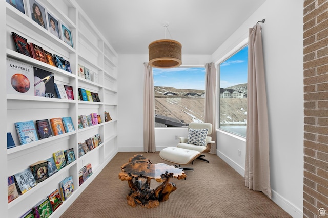 4601 N Toscana Hills Dr, Lehi, UT 84043 - living area with built in features, carpet, and baseboards