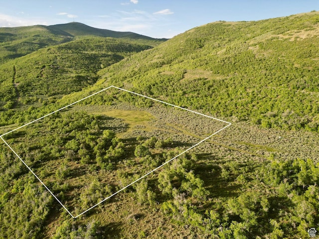 Unit 32, Fountain Green, UT 84632
