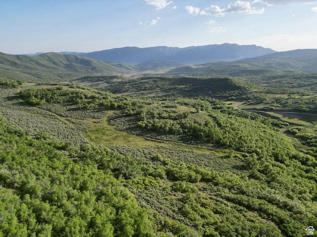 Unit 32, Fountain Green, UT 84632