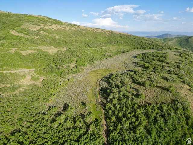Unit 32, Fountain Green, UT 84632