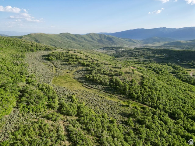Unit 32, Fountain Green, UT 84632