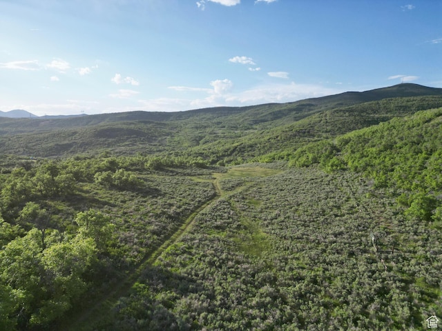 Unit 32, Fountain Green, UT 84632