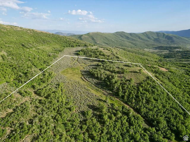 Unit 32, Fountain Green, UT 84632