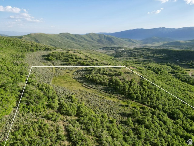 Unit 32, Fountain Green, UT 84632