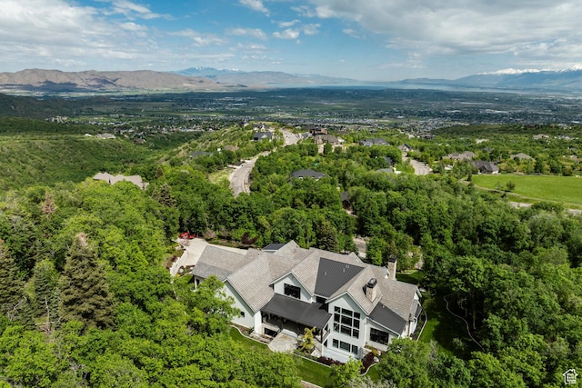 1230 S Eaglenest Dr, Woodland Hills, UT 84653 - view of subject property with mountains