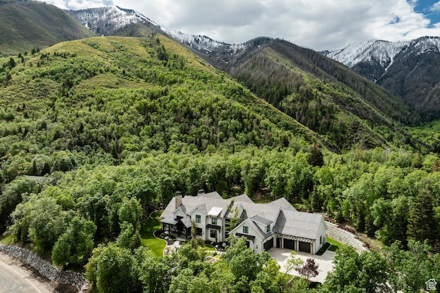 1230 S Eaglenest Dr, Woodland Hills, UT 84653 - view of mountain backdrop featuring a forest