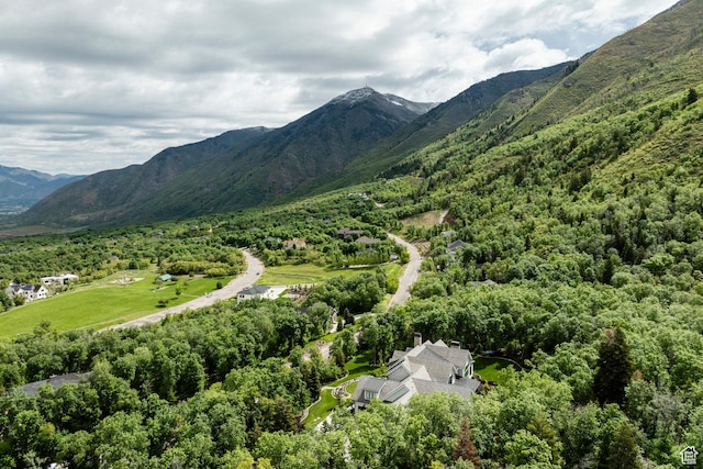 1230 S Eaglenest Dr, Woodland Hills, UT 84653 - view of mountain background with a heavily wooded area