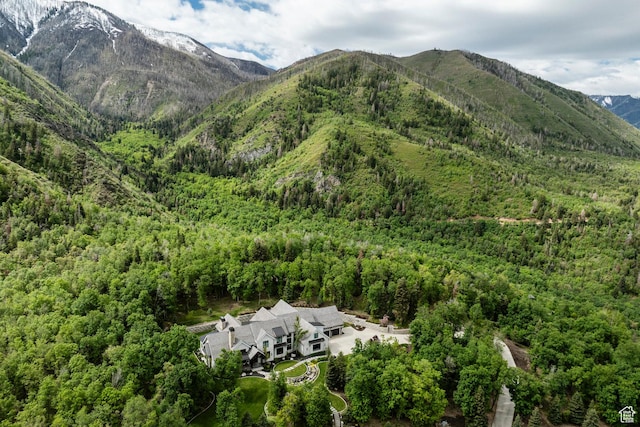1230 S Eaglenest Dr, Woodland Hills, UT 84653 - view of mountain backdrop featuring a heavily wooded area
