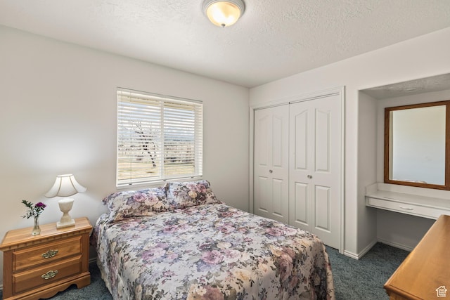 430 E Canyon Rd, Fillmore, UT 84631 - bedroom with a closet, dark colored carpet, and a textured ceiling
