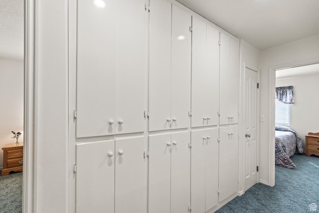 430 E Canyon Rd, Fillmore, UT 84631 - interior space featuring carpet floors