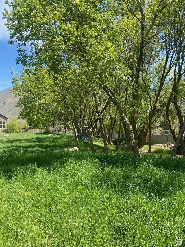 2678 Canyon Rd S, Springville, UT 84663