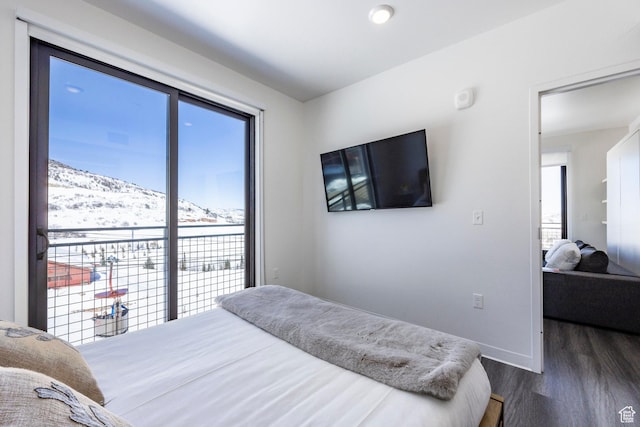 2670 W Canyons Resort Dr Unit 437, Park City, UT 84098 - bedroom with baseboards and dark wood finished floors