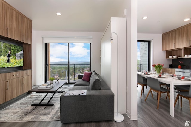 2670 W Canyons Resort Dr Unit 437, Park City, UT 84098 - living room featuring dark wood-style floors, healthy amount of natural light, and recessed lighting