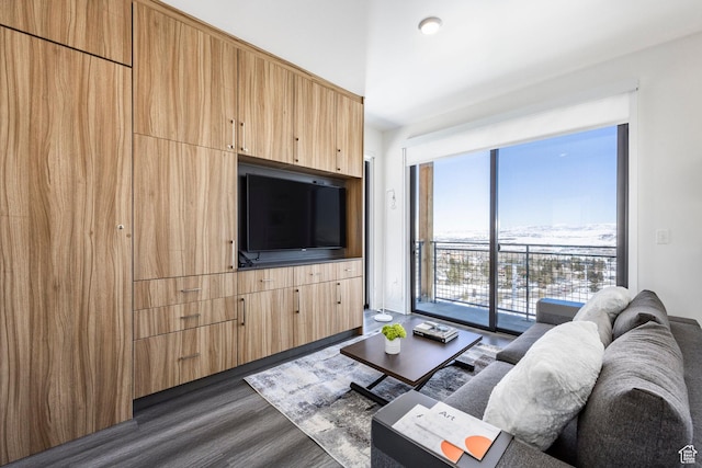 2670 W Canyons Resort Dr Unit 437, Park City, UT 84098 - living area with dark wood-style flooring