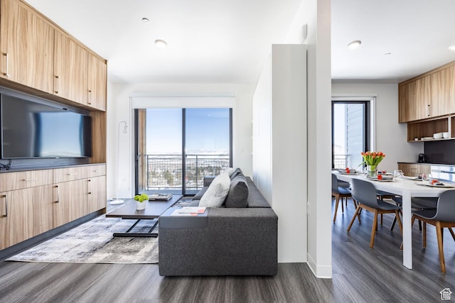 2670 W Canyons Resort Dr Unit 437, Park City, UT 84098 - living room with baseboards and dark wood-style flooring