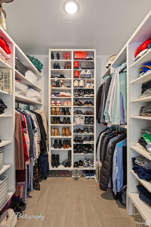 walk in closet with carpet flooring