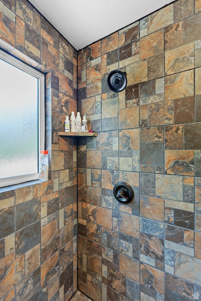 18509 Jefferson Ave, Eagle Mountain, UT 84013 - full bath with a tile shower