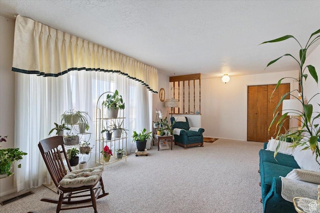 615 S 5900 W, Ogden, UT 84404 - living area with a textured ceiling, visible vents, and carpet