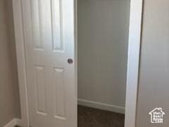 view of closet