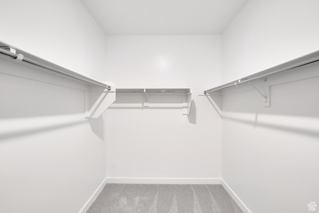 2156 S 4140 W Unit 69, Taylor, UT 84401 - walk in closet with carpet flooring