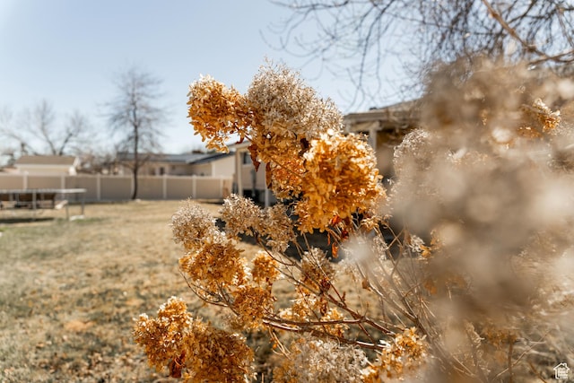 1348 W 200 S, Vernal, UT 84078 - view of yard featuring fence