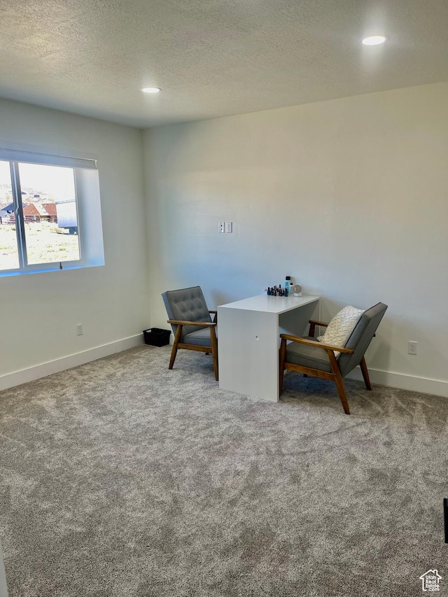 9940 N Vande Way, Eagle Mountain, UT 84005 - home office with baseboards, recessed lighting, carpet flooring, and a textured ceiling